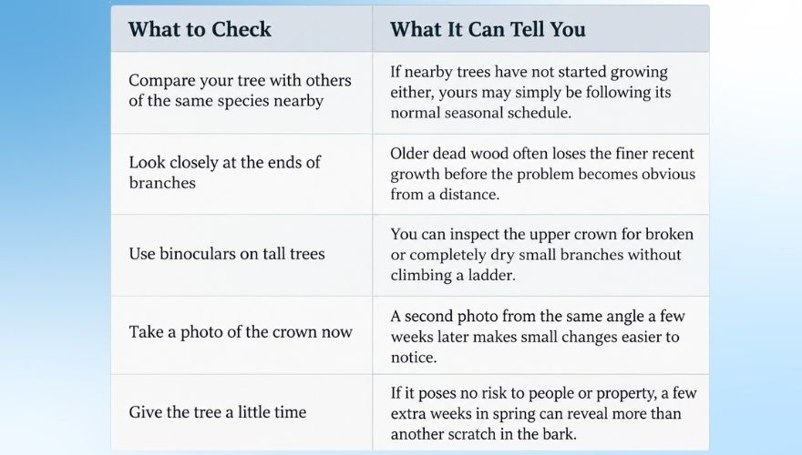 Table showing simple checks for assessing whether a tree is dormant, delayed, or declining.